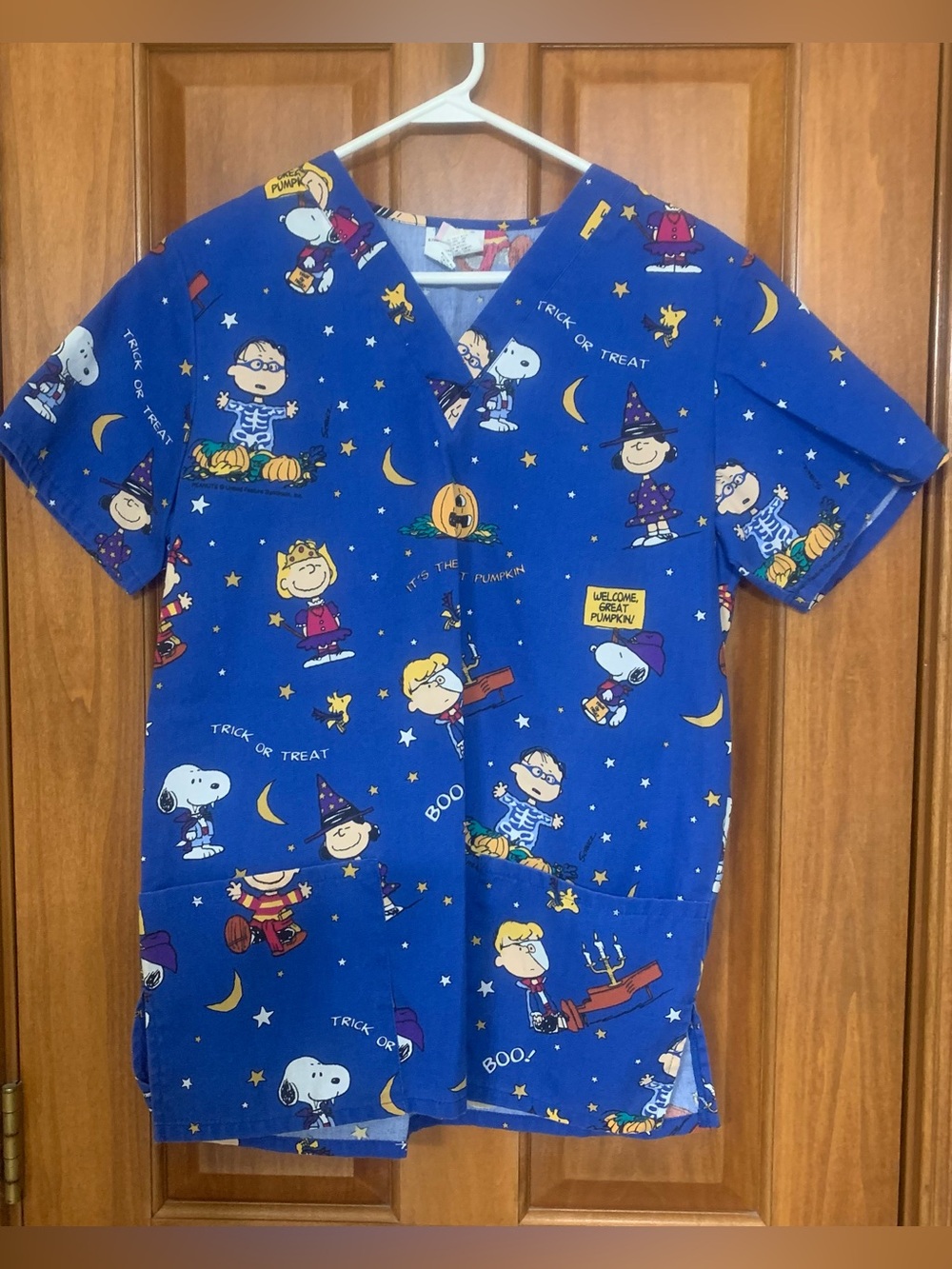 Vintage Peanuts Snoopy Charlie Brown Friends Halloween Scrub Top